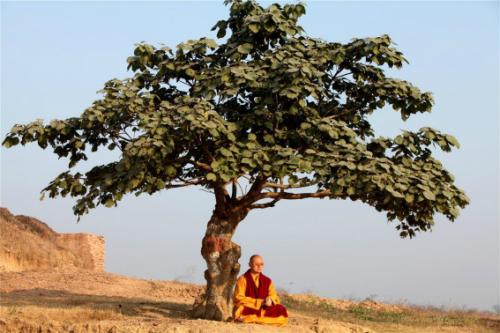 1603268315136798.jpg 19.jpg