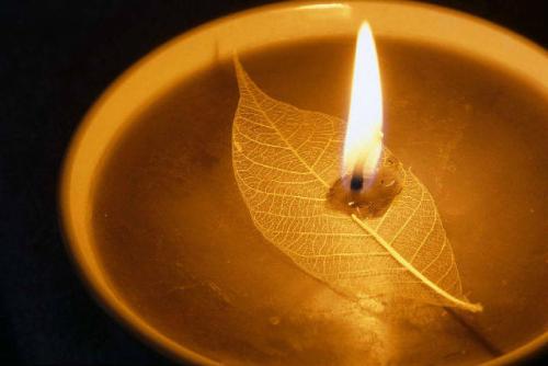 1603268343436299.jpg 47.jpg