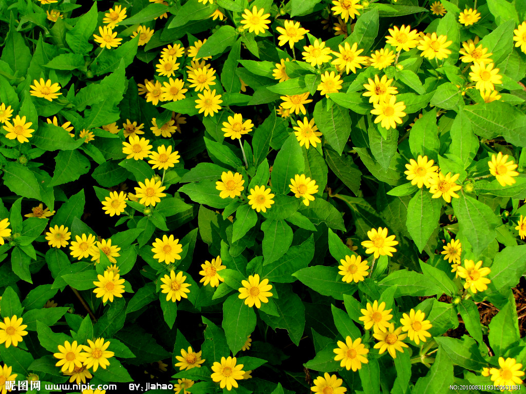 1603268860126195.jpg 2.jpg