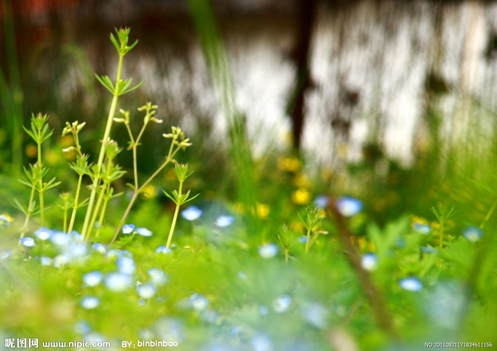 1603268873291066.jpg 3.jpg