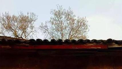 1603269696130782.jpg 79.jpg