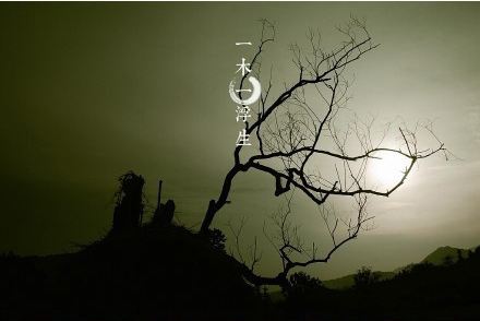 1603269787896997.jpg 71.jpg