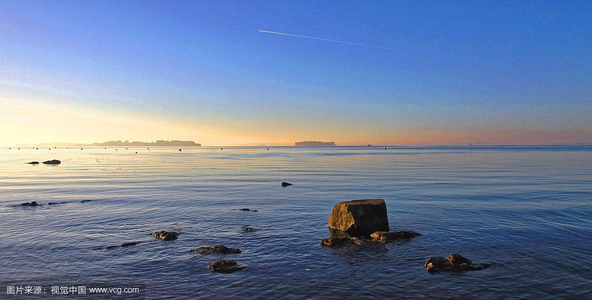 1603269894531442.jpg 10.jpg