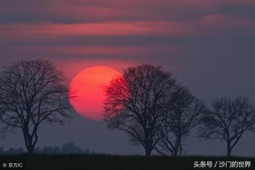 1603270012701245.jpg 31.jpg