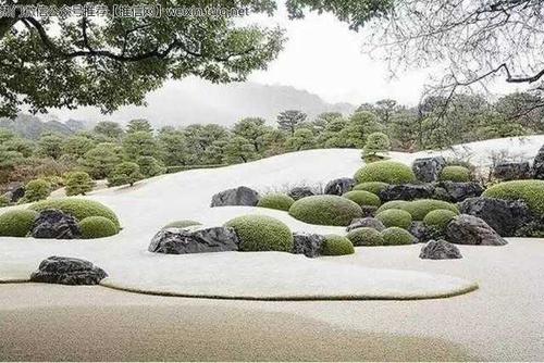 1603351605208575.jpg 23.jpg