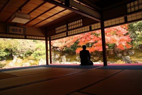 1603351644808007.jpg 26.jpg