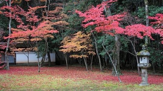 1603351789102867.jpg 36.jpg