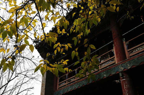 1603358109492369.jpg 微信图片_20200910154316.jpg