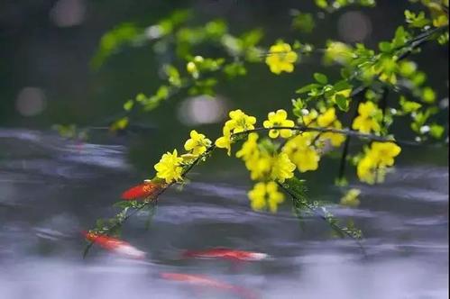 1603415255741997.jpg 微信图片_20200911110134.jpg