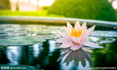 1603415696111951.jpg 微信图片_20200911110201.jpg