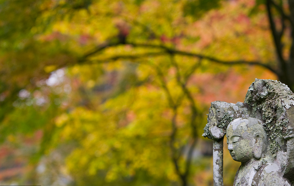 1603440136135911.png 微信图片_20201006093849.png