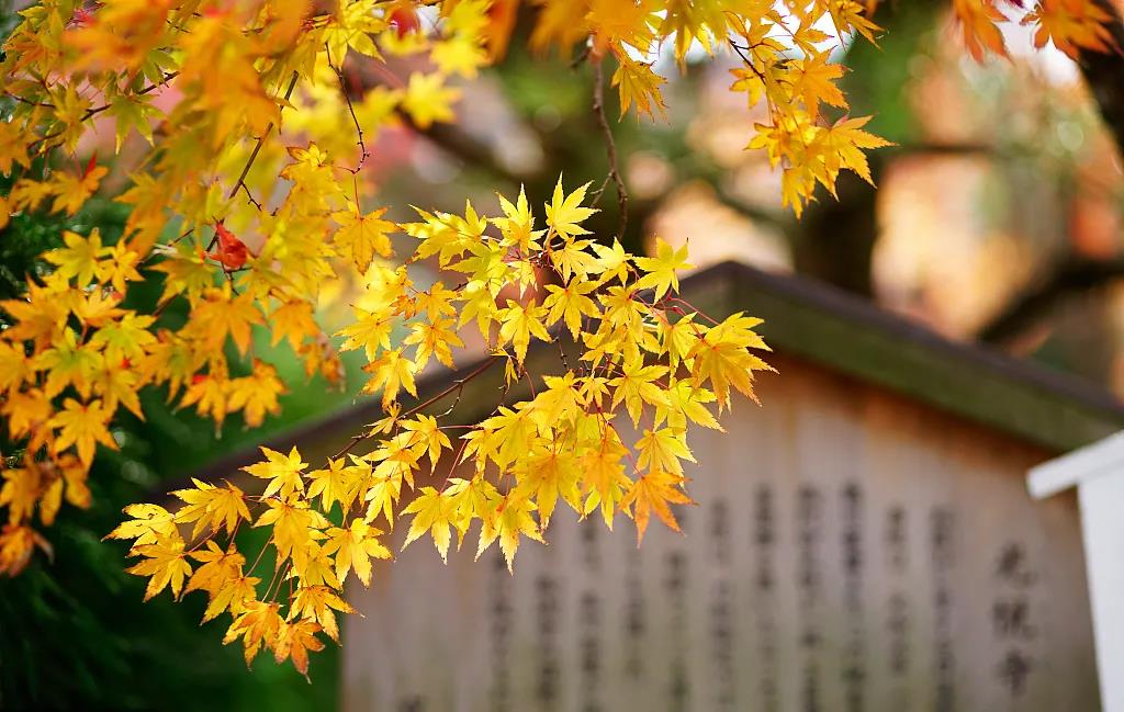 1603440538225787.jpg 微信图片_20201006135349.jpg