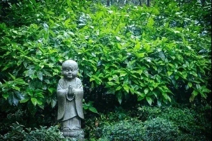 1603441450140705.jpg 微信图片_20201006151931.jpg