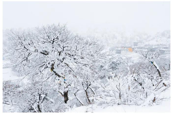 1603692262697588.jpg 微信图片_20200921110702.jpg