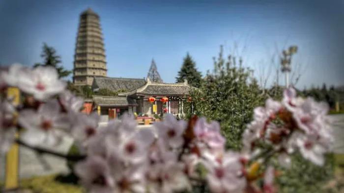 1603692674131238.jpg 微信图片_20200921112138.jpg