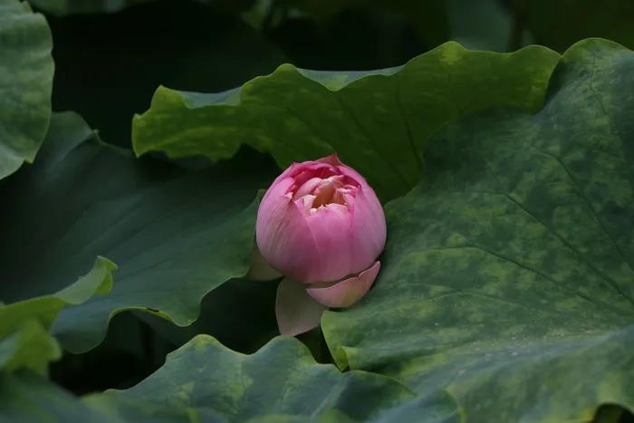 1603701227140300.jpg 微信图片_20200921100808.jpg