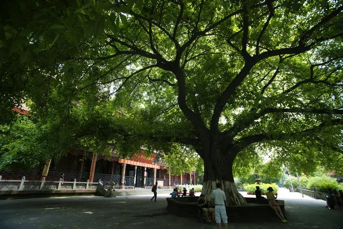 1603701636669144.jpg 微信图片_20200921104716.jpg