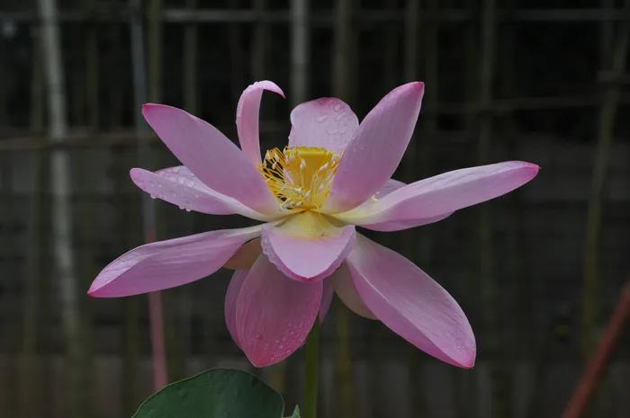 1603769751199495.jpg 微信图片_20200921102047.jpg