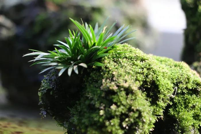 1603769776901429.jpg 微信图片_20200921102049.jpg