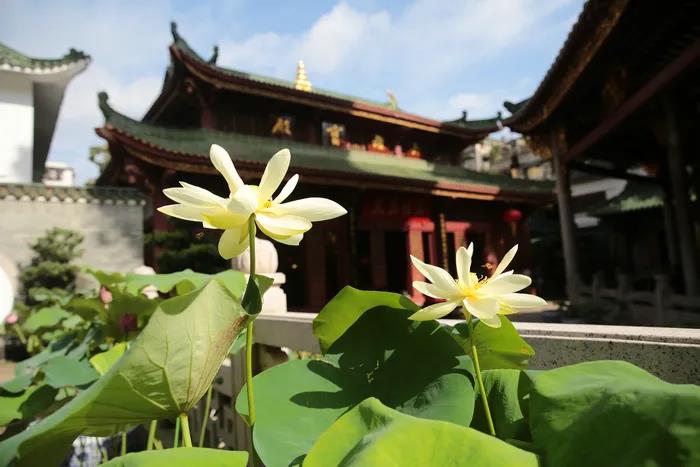 1603779908587082.jpg 微信图片_20200921100629.jpg