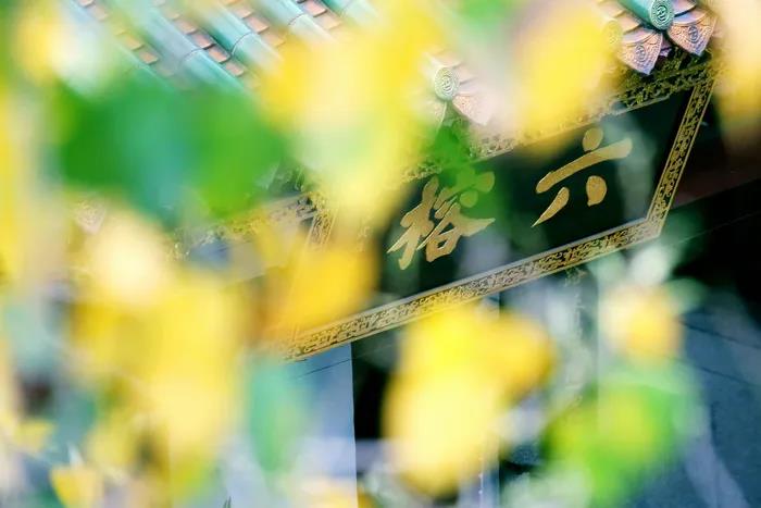 1603780173953584.jpg 微信图片_20200921100703.jpg