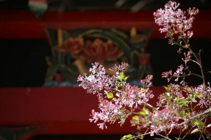 1603780317104717.jpg 微信图片_20200921110050.jpg