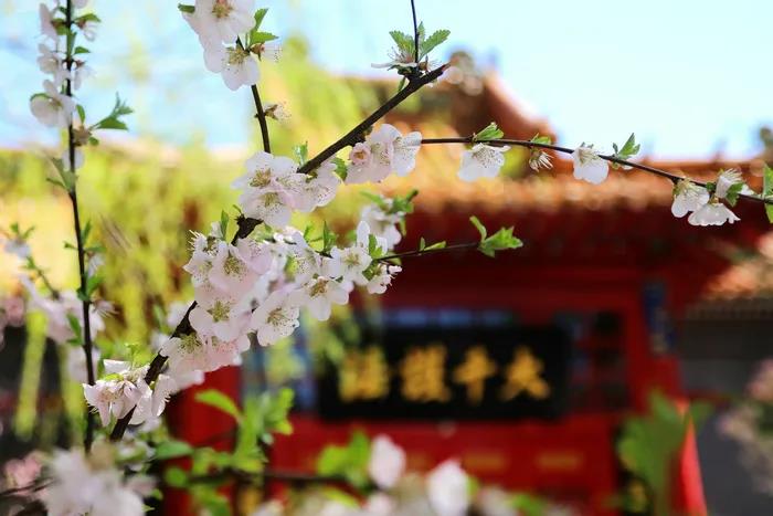 1603780321108074.jpg 微信图片_20200921110053.jpg