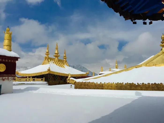 1603785343113410.jpg 微信图片_20200921114802.jpg