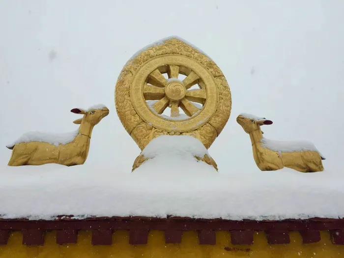 1603786554108887.jpg 微信图片_20200921114807.jpg