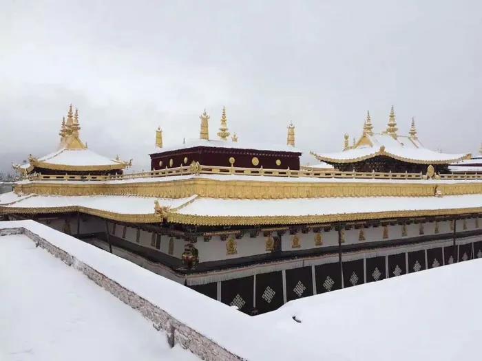 1603786677890198.jpg 微信图片_20200921114831.jpg