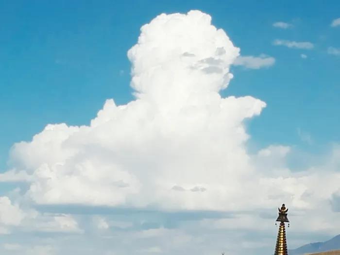 1603856725123122.jpg 微信图片_20200921100426.jpg