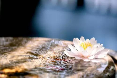 1603873423249670.jpg 5.jpg