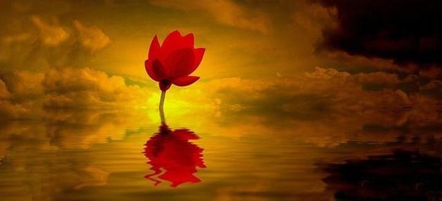 1603873502136531.jpg 12.jpg