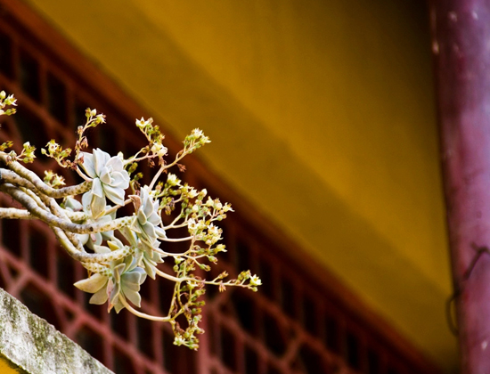 1603873756666691.jpg 22.jpg