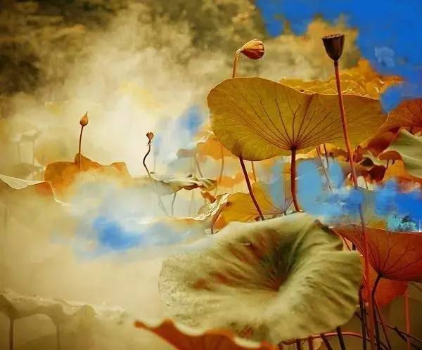 1603873966123187.png 50.png