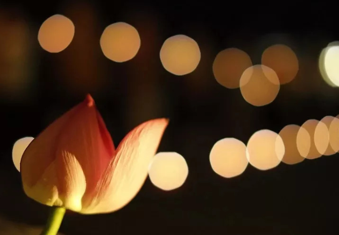 1603874306110849.png 67.png