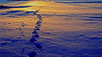 1603953680955563.jpg 43.jpg