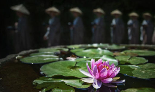 1604020660344255.png 27.png