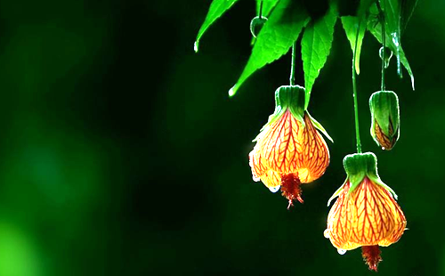 1604020683671123.png 28.png