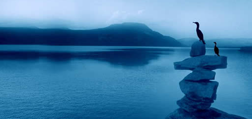 1604021333368395.png 1.png