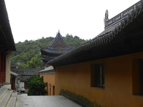 1604028434497748.jpg 31.jpg