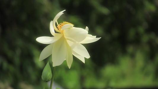 1604028566134551.jpg 33.jpg