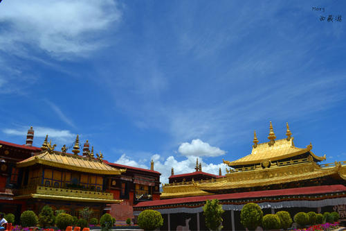 1604028577849404.jpg 34.jpg