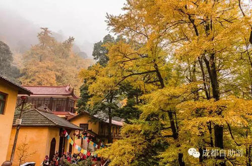 1604029781137004.jpg 60.jpg