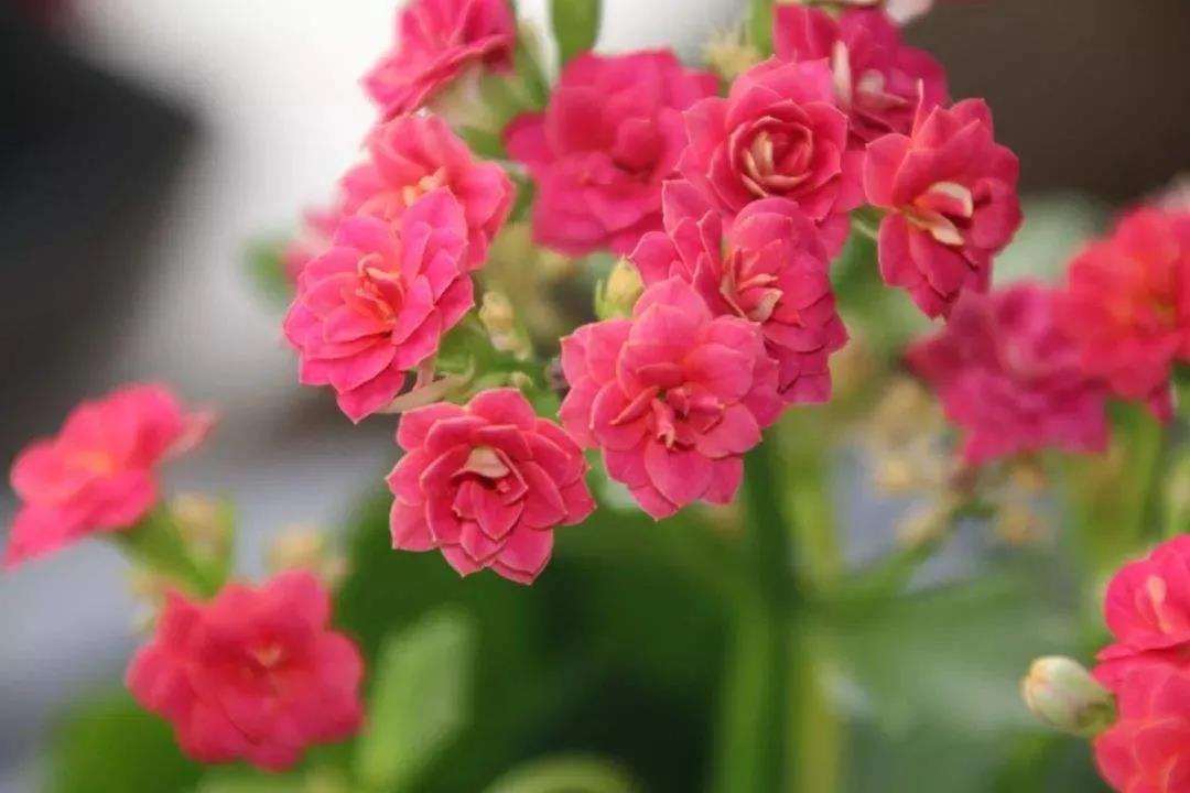 微信图片_20201102093210.jpg