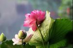 受邪不等戒