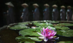 三陀罗尼