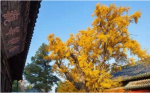 小乘经藏