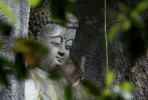 三种神变