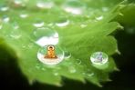 二种破戒人